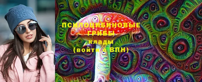 Псилоцибиновые грибы Cubensis  hydra сайт  Зеленокумск  где купить наркоту 